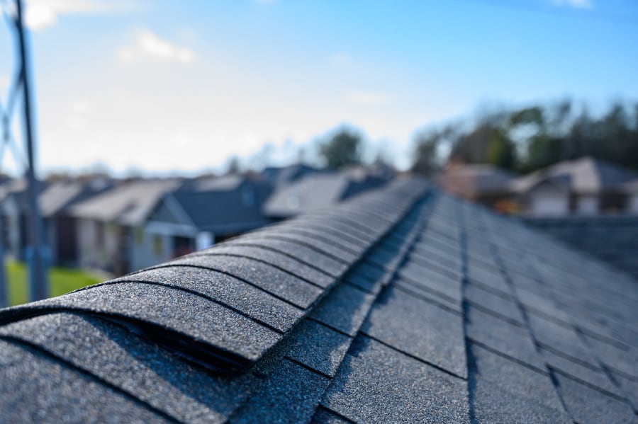 Elkhorn Home Inspection Roof